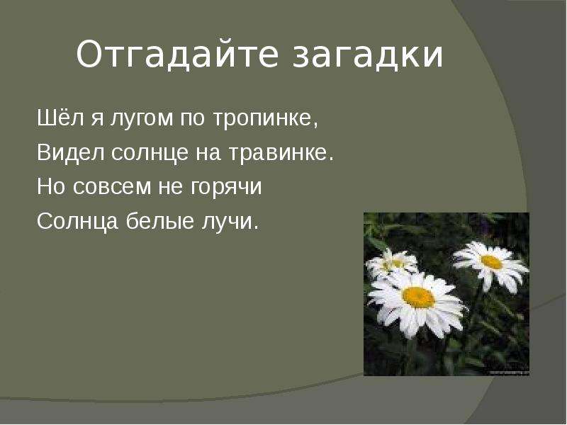 Сочините загадки о природе лесе поле луге или дереве цветке сделайте рисунок к своему произведению