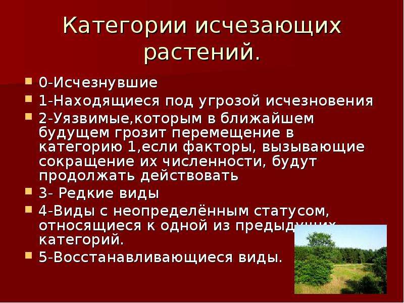 Презентация исчезающие растения