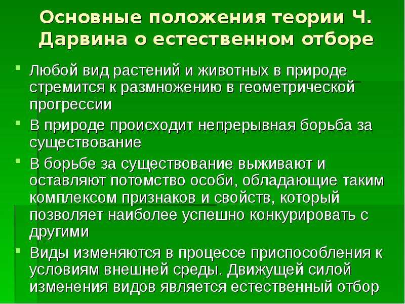 Положение 37. Основные положения учения ч Дарвина. Основные положения учения Чарльза Дарвина. Основные положения теории Дарвина. Основные положения теории ч Дарвина.