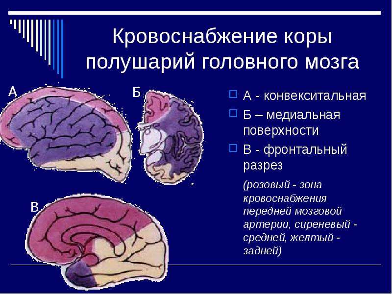 Язык при инсульте фото