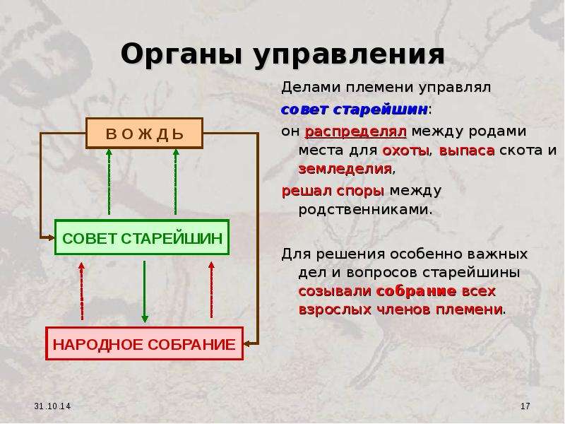 Дополни схему род племя