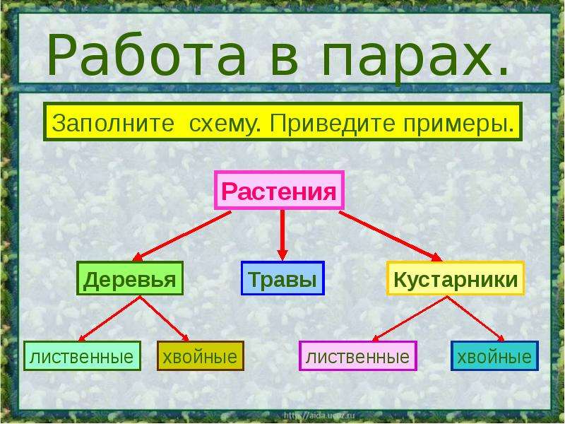 Какие бывают растения окружающий мир 2 класс проект