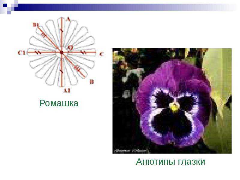 По геометрии Центральная симметрия., слайд 14