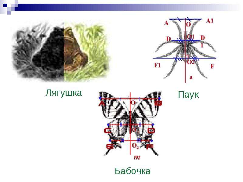 По геометрии Центральная симметрия., слайд 18