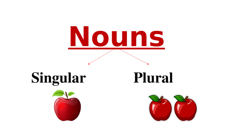   Nouns   Singular          Plural        