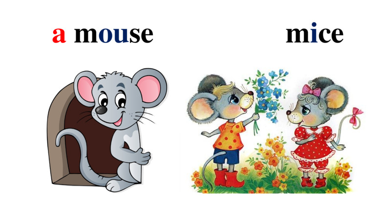    a mouse                  mice  