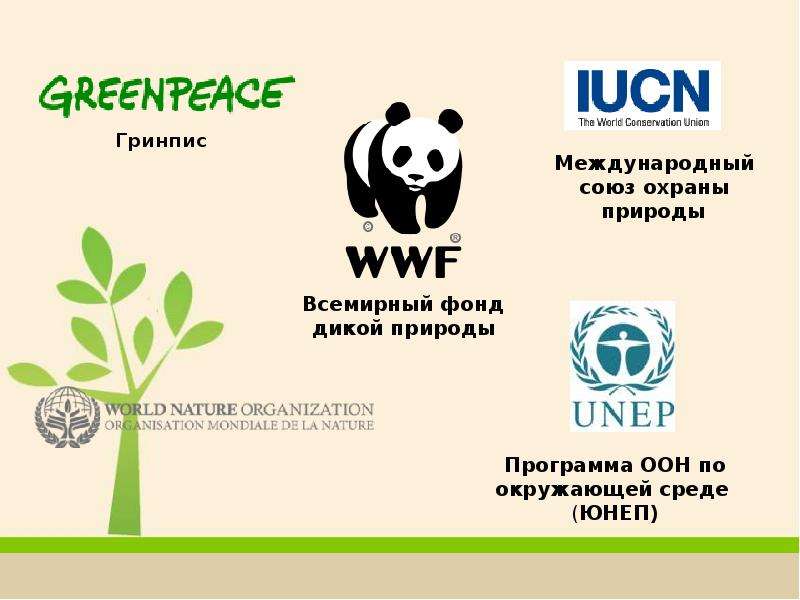 Гринпис экологическая. Гринпис. Международные организации по охране экологии. Всемирная организация по защите природы. Greenpeace Международная организация.