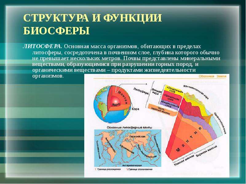 Презентация по географии 5 кл литосфера и человек