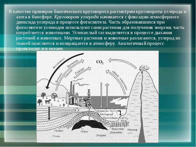 Круговорот углерода в биосфере презентация