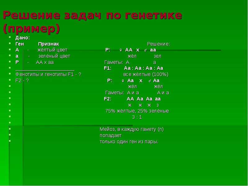 Задачи по генетике 9 класс биология. Решение задач на генетику. Решение задач по генетике. Правильное оформление задач на генетику. Биология решение задач по генетике 9 класс.