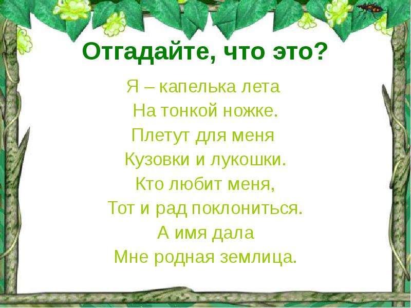 Я капелька на тоненькой ножке. Загадка на Лесной полянке красуется. На Лесной Поляне красуется Татьяна ответ на загадку. Загадка на Лесной полянке красуется Татьянка. Отгадай загадку на Лесной Поляне красуется Татьяна.