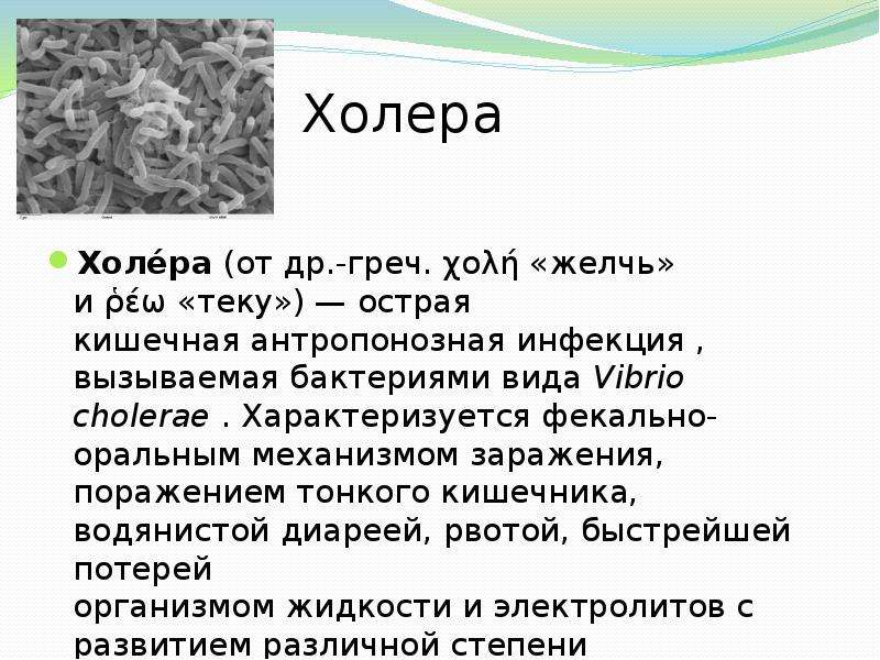 Эпидемии  Подготовил студент 2 курса ФТД группы   Т-1207 Комиссаров Александр, слайд №10