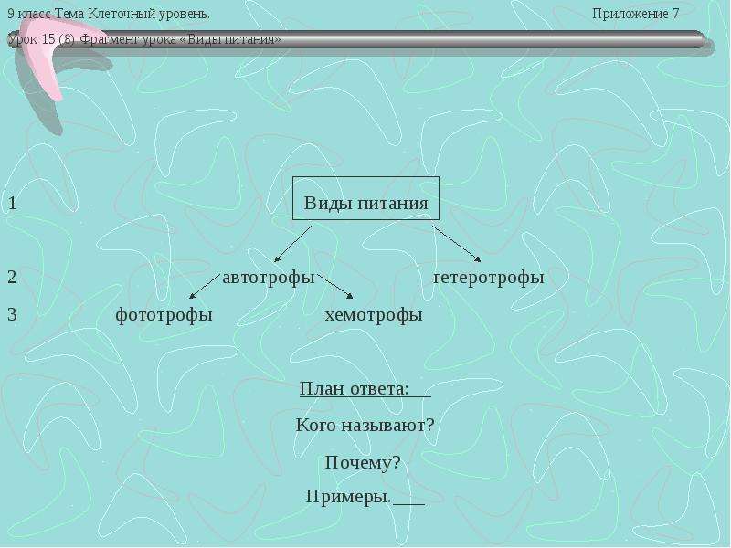 Фототрофы примеры. Клеточный уровень организации гетеротрофов. Что такое видеофрагмент урока по биологии.