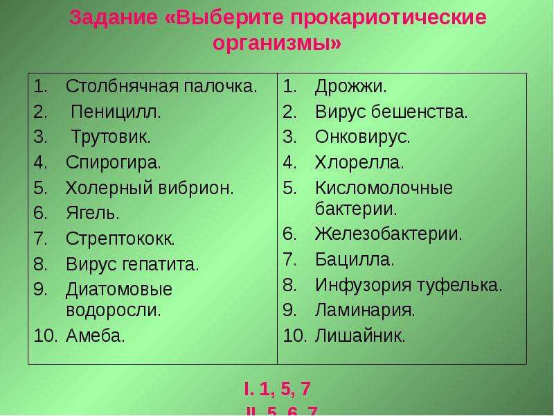 Выберите организмы. К прокариотическим организмам относятся. Прокариотические организмам относят. Прокариотические организмы и их роль в биоценозах. Какие организмы относятся к прокариотическим.