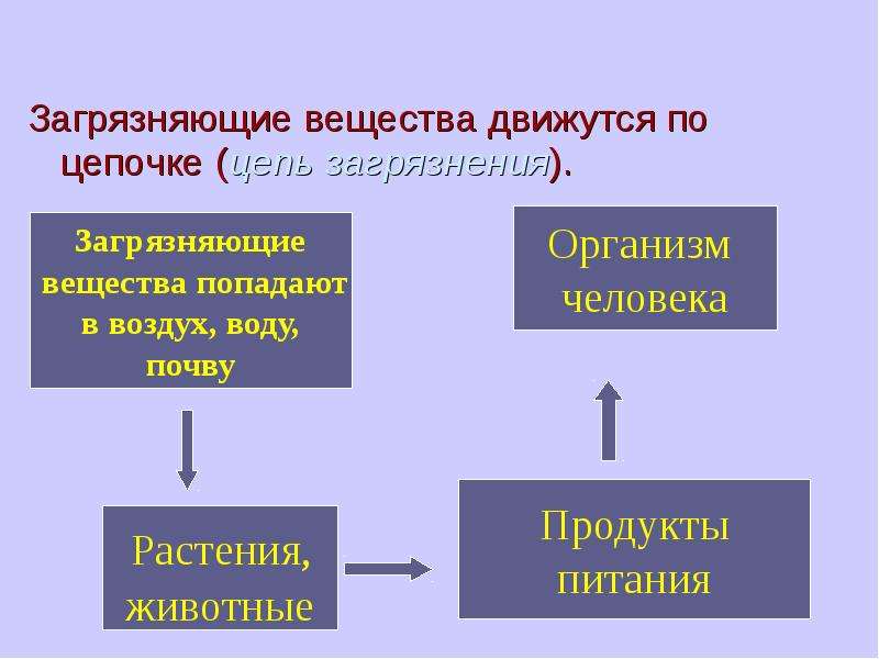 Поступление веществ в организм. Пример цепи загрязнения. Экологическая безопасность цепи загрязнения. Цепочка загрязнения окружающей среды. Экологическая цепочка загрязнения.