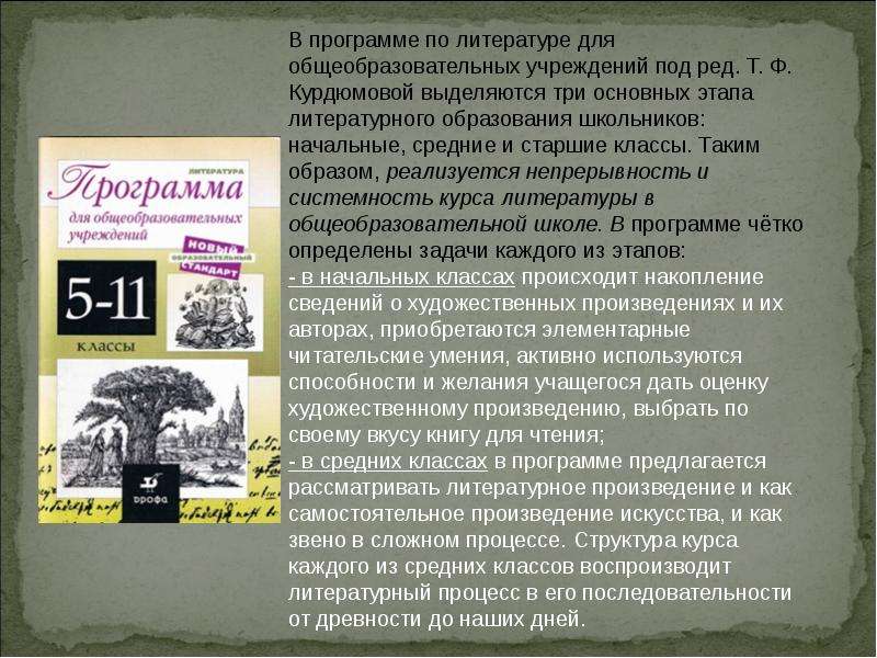 Основы литературы. Программа по литературе. Программа литературы 9 класс. Программы по литературе 5-9 классы Курдюмова. Программа средней школы по литературе.