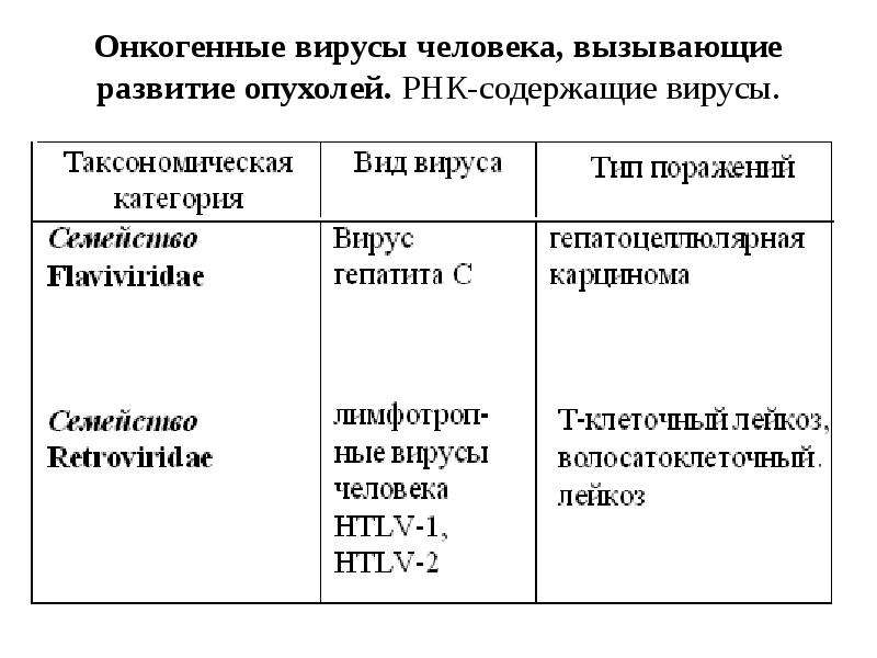 Онкогенные вирусы презентация