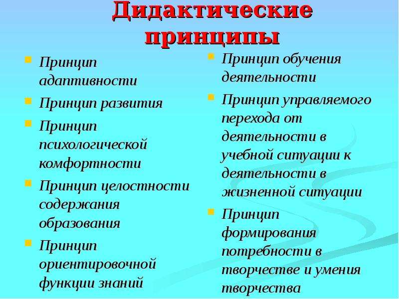 Функции дидактических принципов. Дидактические принципы обучения. Принцип комфортности. Принцип психологической комфортности.