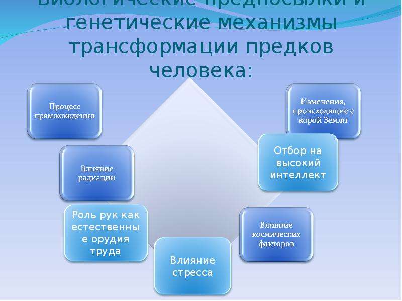 Генетические механизмы. Биологические предпосылки человека. Биологические предпосылки происхождения человека.. Биологические предпосылки интеллекта. Биологические механизмы изменения человеческих предков.