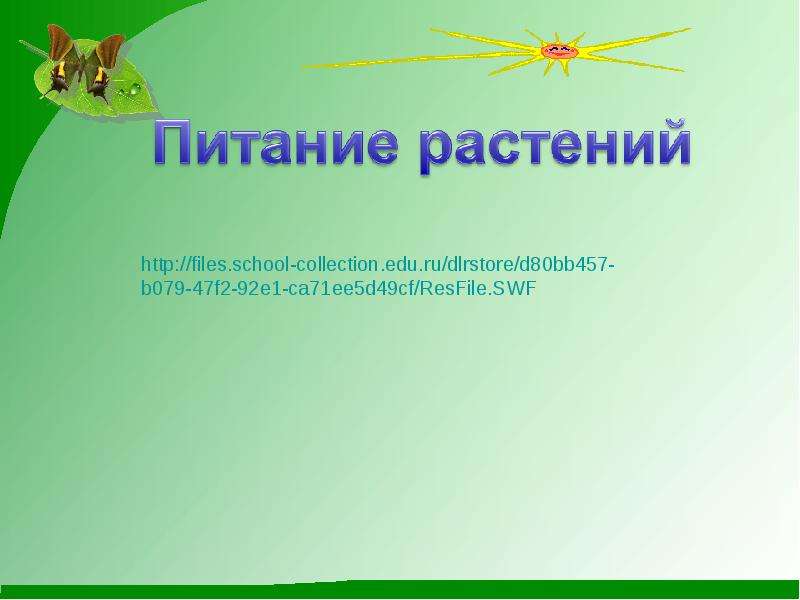 Почему листья зеленые биология 6 класс. Почему листья зеленые презентация. Почему листья зеленые 3 класс.