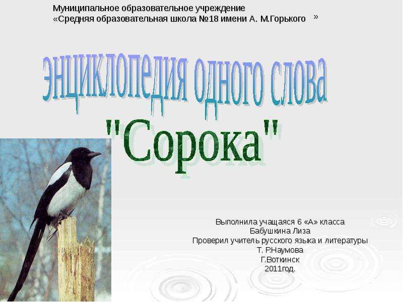 Сорок выполнить. Паспорт слова сорока. Проверка слова сорока. 3 Класс проект про слово сорока. Лексическое значение слова сорока.