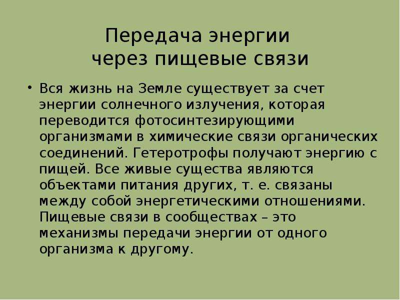 Поток энергии цепи питания презентация по биологии