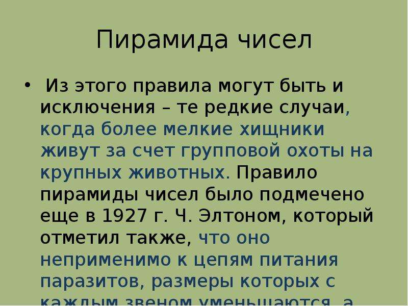 Поток энергии цепи питания презентация по биологии