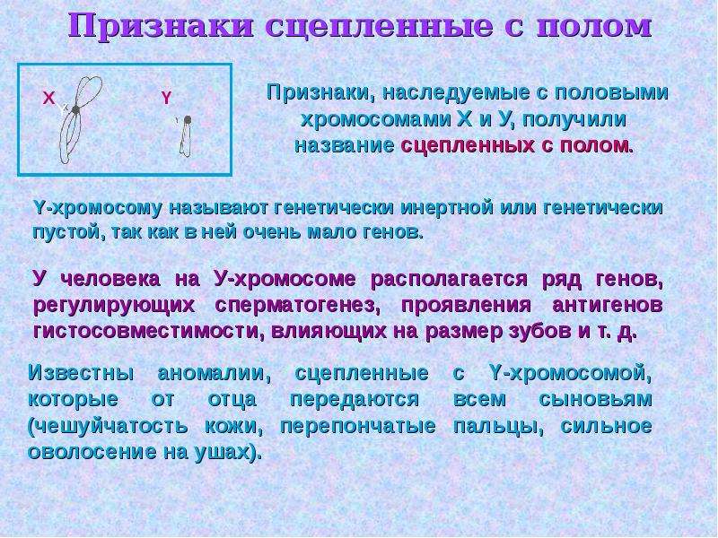 Генетика пола и наследование сцепленное с полом презентация 11 класс