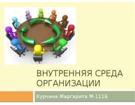 Внутренняя среда организации Курчина Маргарита М-111Б