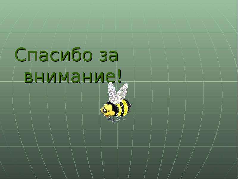 Спасибо за внимание география. Спасибо за внимание с пауком. Спасибо за внимание для урока биологии. Спасибо за внимание графики.