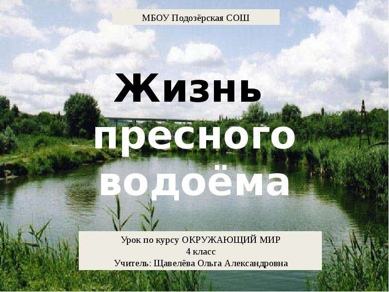 Жизнь в пресных водоемах 4 класс окружающий мир презентация школа россии