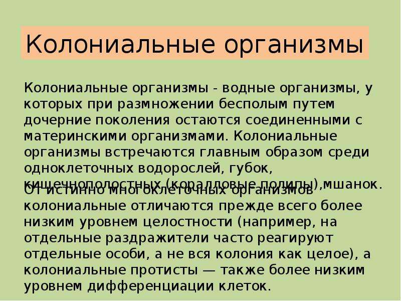 Колониальный образ жизни. Колониальные организмы примеры. Колониальные организмы презентация. Коллонтальные органтщмы примеры. Клониальныеорганизмы примеры.