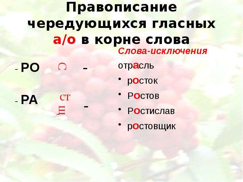 Правописание чередующихся. Правописание чередующихся гласных. Правописание чередующих гласных. Правописание чередующихся гласных в корне. Правописание гласных в чередующихся корнях.