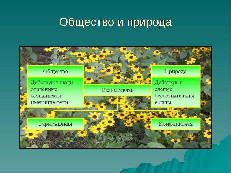 Взаимодействие общества и природы проект 9 класс обществознание