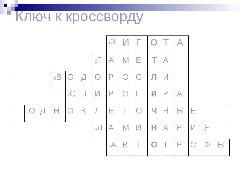 Золотой ключик кроссворд. Кроссворд на тему высшие растения. Кроссворд Подцарство высшие растения. Кроссворд по теме высшие растения. Класс высшие растения кроссворды.