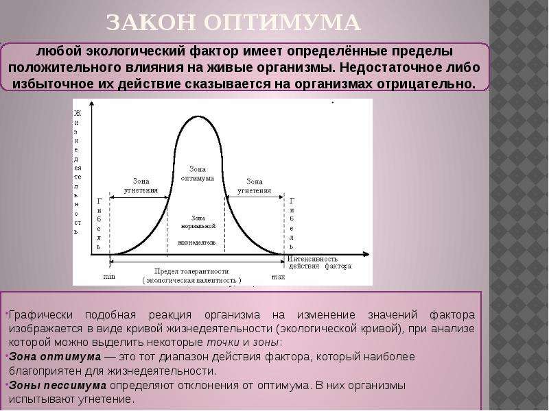 Экологические законы. Закон оптимума. Экологические законы презентация. Закон оптимума пессимума.