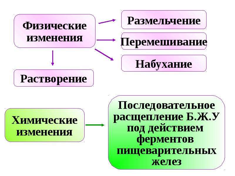 Физические физико химические химические процессы. Физико-химические изменения пищи в процессе пищеварения. Физические изменения пищи. Фмзикохимические изменения в птще в процессе пищеварения. Физико-химические изменения пищи в процессе пищеварения кратко.