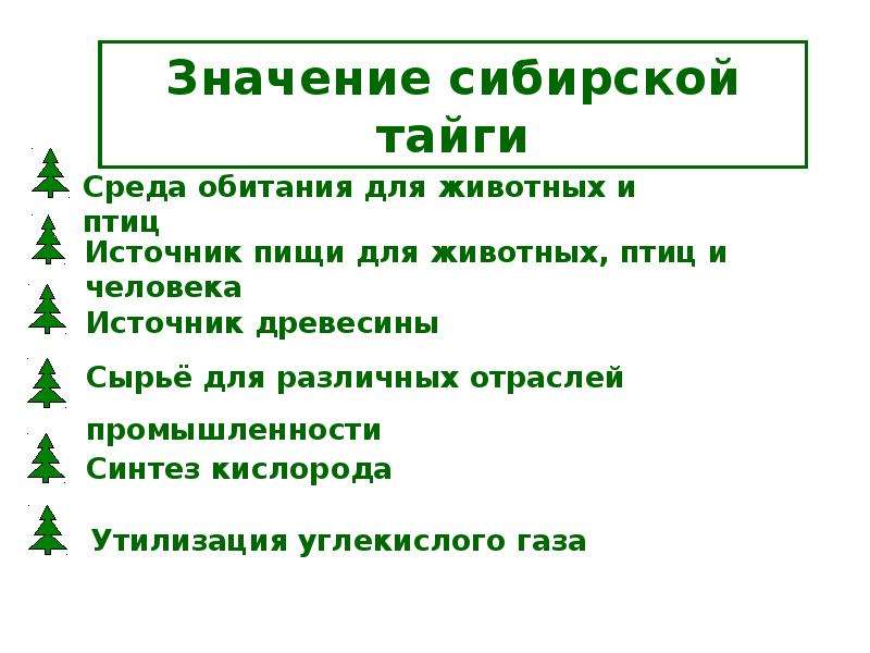 Значение сообщества для человека. Значение тайги для человека. Экологические проблемы и охрана природы тайги. Использование человеком тайги. Экологические проблемы тайги 4 класс.