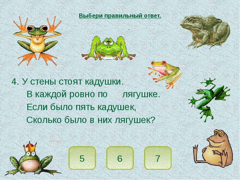 Как ты думаешь где скорее всего понравилось бы жить жабе аге выбери одну из картинок