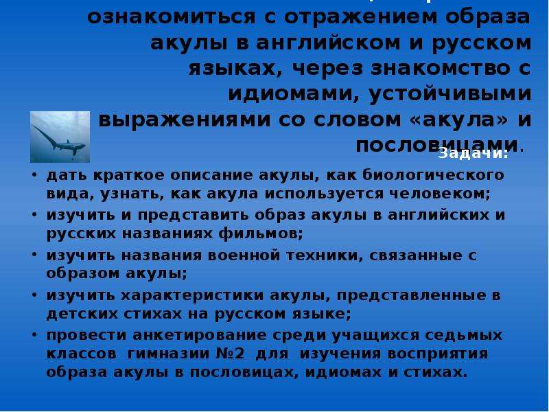 Нашли отражение образы. Фразеологизмы со словом акула. Пословицы про акулу. Пословицы на тему акула. Описание акулы на английском языке.