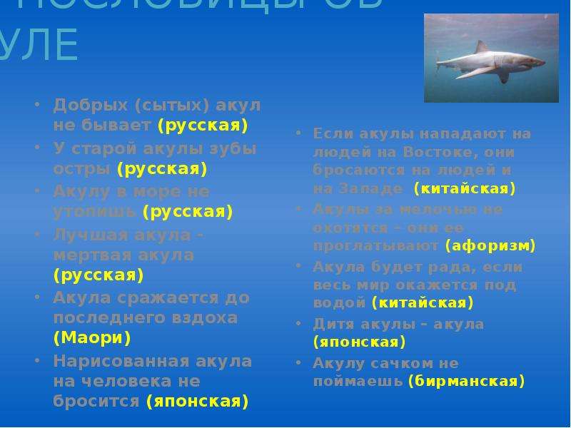 Сравни тексты рассказов акула и прыжок. Пословицы к рассказу акула. Пословицы про акулу. Пословицы и поговорки про акулу. Пословицы к рассказу акула Толстого.