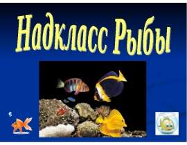 Рыбы - презентация к уроку Окружающий мир