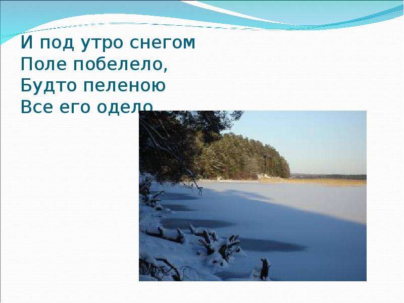 И под утро снегом. Будто пеленою всё его одело. И под утро снегом поле забелело. Поля побелели. И под утро снегом поле забелело рассказ.