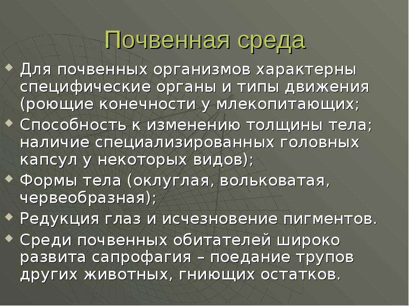 Почвенная среда обитания 5 класс биология презентация