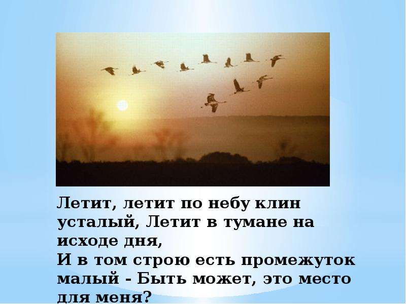 Песня лети по небу. Летит летит по небу Клин усталый. Летят Журавли стихотворение. Улетают Журавли стихи. Улетели Журавли стихотворение.