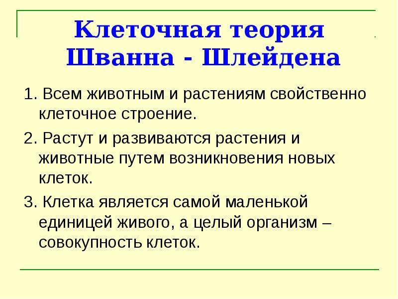 Клеточная теория шванна. Теория Шлейдена. Теория Шванна и Шлейдена. Положения клеточной теории Шванна и Шлейдена.