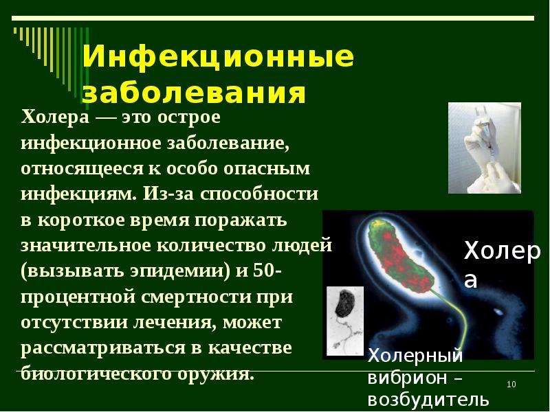 Желудочно-кишечные заболевания презентация 8 класс. Переносчики желудочно-кишечных заболеваний. Предупреждение желудочно-кишечных заболеваний. Наиболее опасные желудочно-кишечные заболевания.