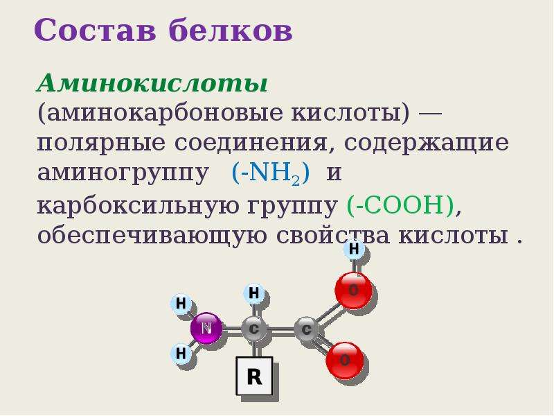 Аминокислоты и белки презентация