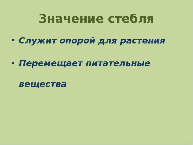 Роль стебля в жизни. Значение стебля. Значение стебля для растения. Роль стебля в жизни растения. Стебель служит.