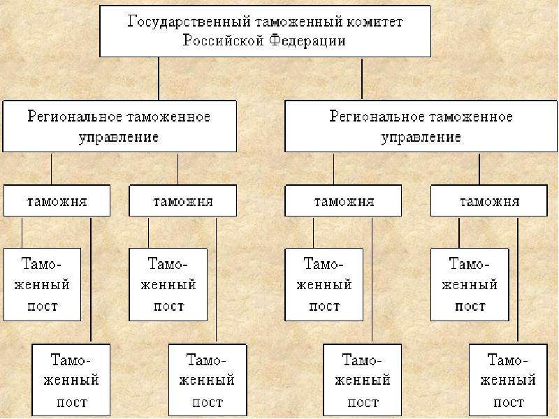 Система таможенных органов. Система таможенных органов Российской Федерации. Структура таможенных органов РФ презентация. Основные подсистемы системы таможенных органов.. Структура таможенных органов слайд.